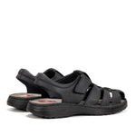 F2198 GAUCHO MARINO-2