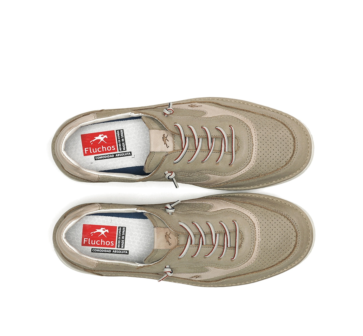 F1943 VEGABUCK TORTORA+COM.5-4