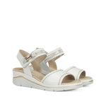 F2427 ALFA BUFALINO BLANCO PLATINO-1