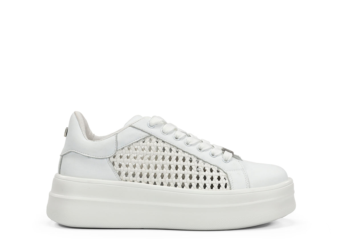 D9522-SP SPIN BLANCO-0