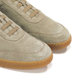 F1723 VITELLINI TORTORA+COM.6-5