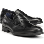 F1933 HABANA NEGRO+COM.2-6
