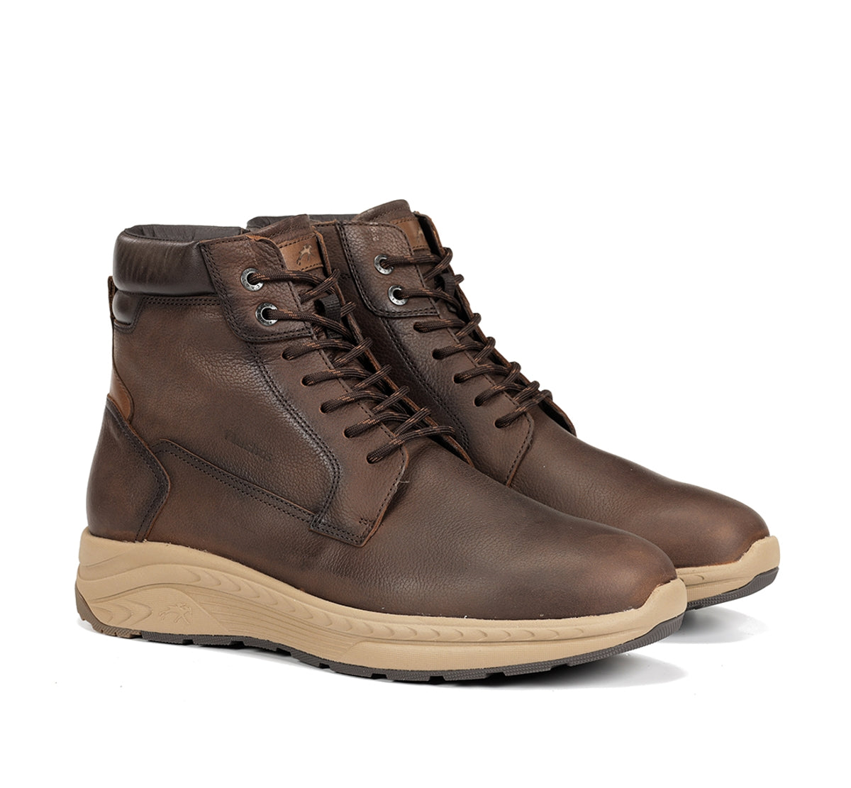 F2292 VEGABUCK CAFE+COM.1-1