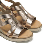 F1974 LAMINADO CAVA-3