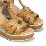 D9701-AL ALFA CAMEL-5