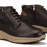 F2291 VEGABUCK CAFE+COM.1-6