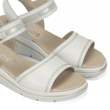 F2427 ALFA BUFALINO BLANCO PLATINO-5