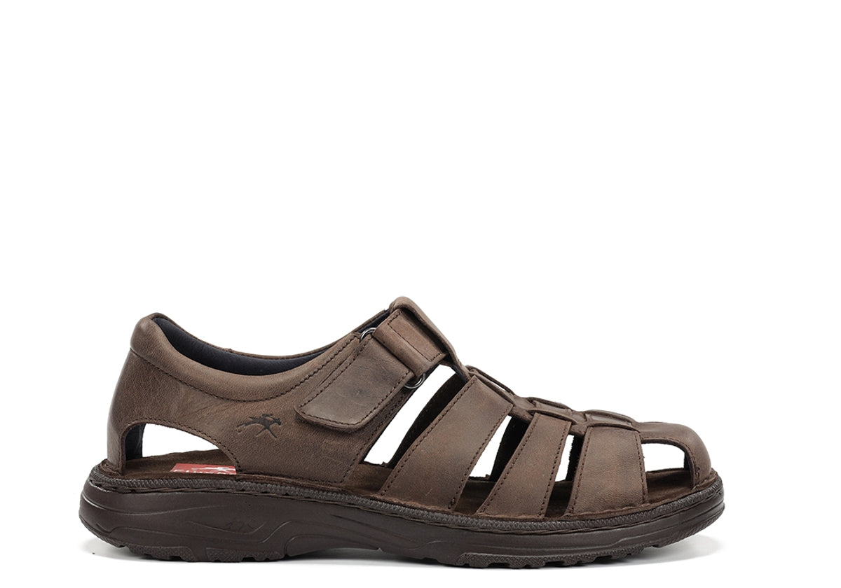 F2199 GAUCHO MARRON-0