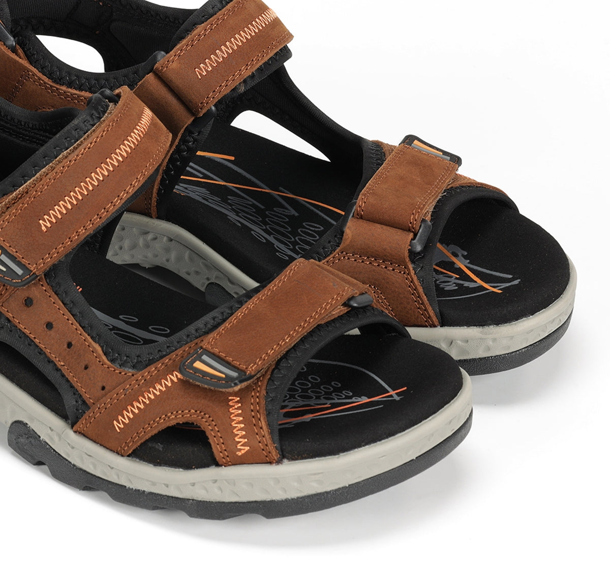 F2411 VEGABUCK LIBANO-5