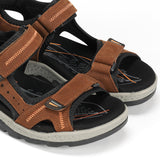 F2411 VEGABUCK LIBANO-5