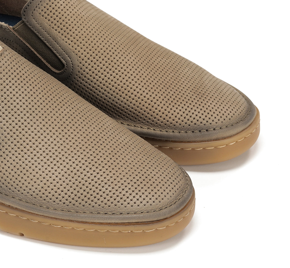 F1946 VEGABUCK MARMOTA+COM.4-5