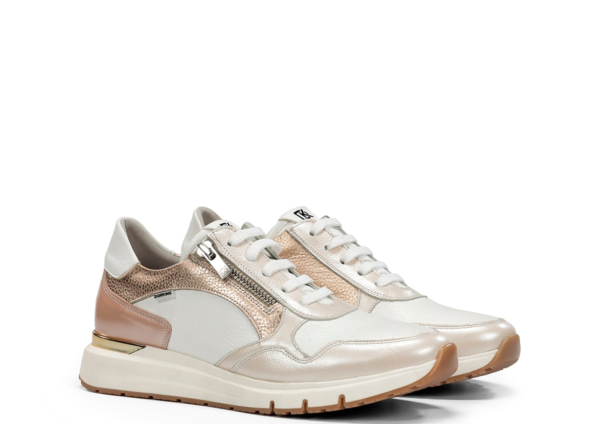 D9308NCSCO NACARADO BONE C1 BONE C-1-1