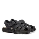 F2198 GAUCHO MARINO-1