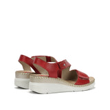 F2137 HABANA CEREZA-2
