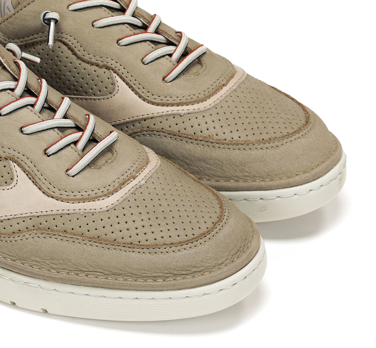 F1943 VEGABUCK TORTORA+COM.5-5