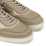 F1943 VEGABUCK TORTORA+COM.5-5