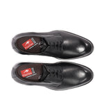 F2488W HABANA NEGRO+COM.2-4
