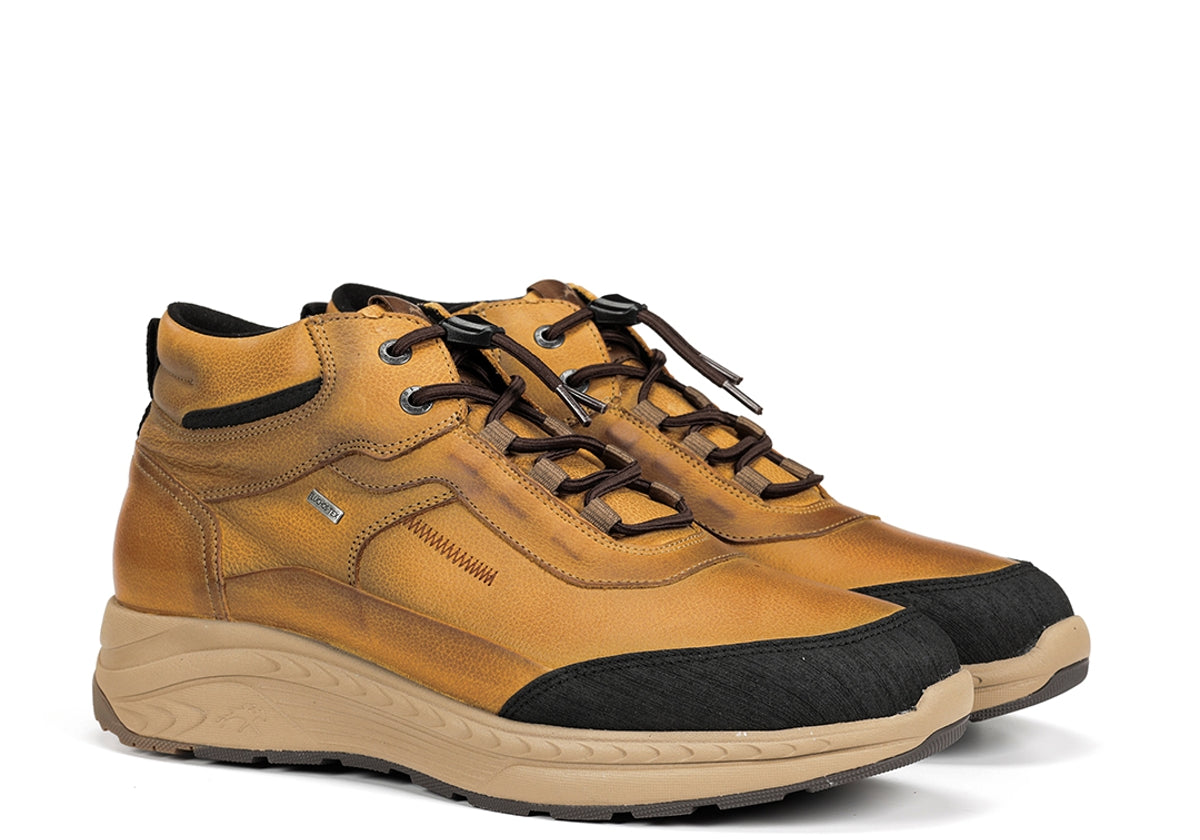 F2295 VEGABUCK HIDRO TIMBER+COM.5-1
