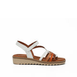 D9113-PL PLACA BLANCO C-3 BLANCO C-3-0