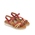 D9113-PL PLACA CARMIN C-4 CARMIN C-4-3