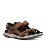 F2411 VEGABUCK LIBANO-1