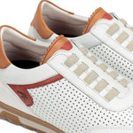 F1189 HABANA HIELO+COM.5-6