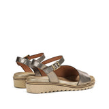 D8771-CS COSMOS IRON-2