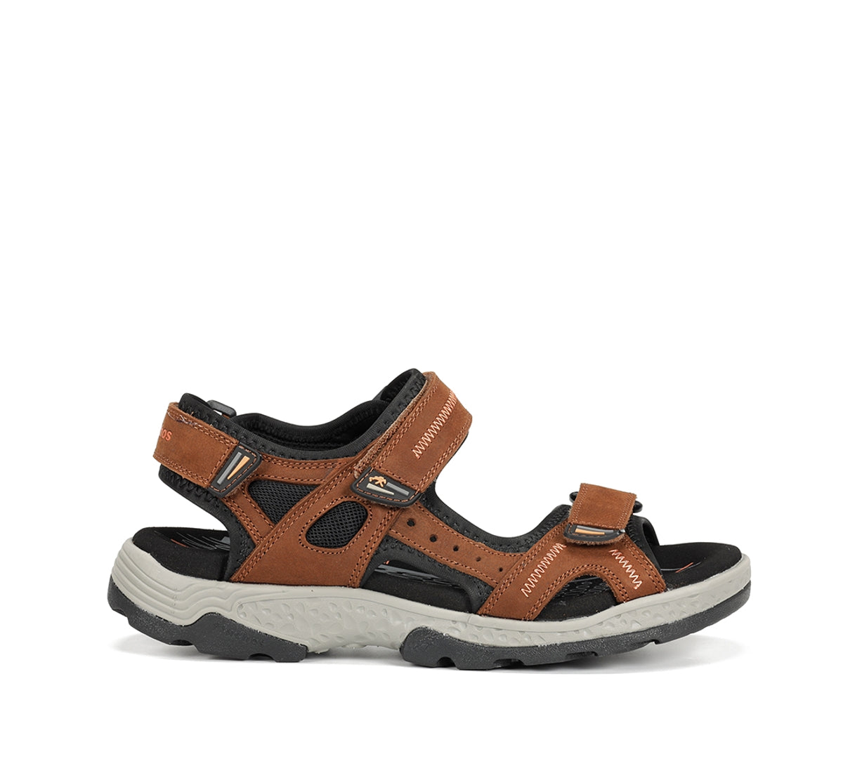 F2411 VEGABUCK LIBANO-0