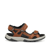 F2411 VEGABUCK LIBANO-0