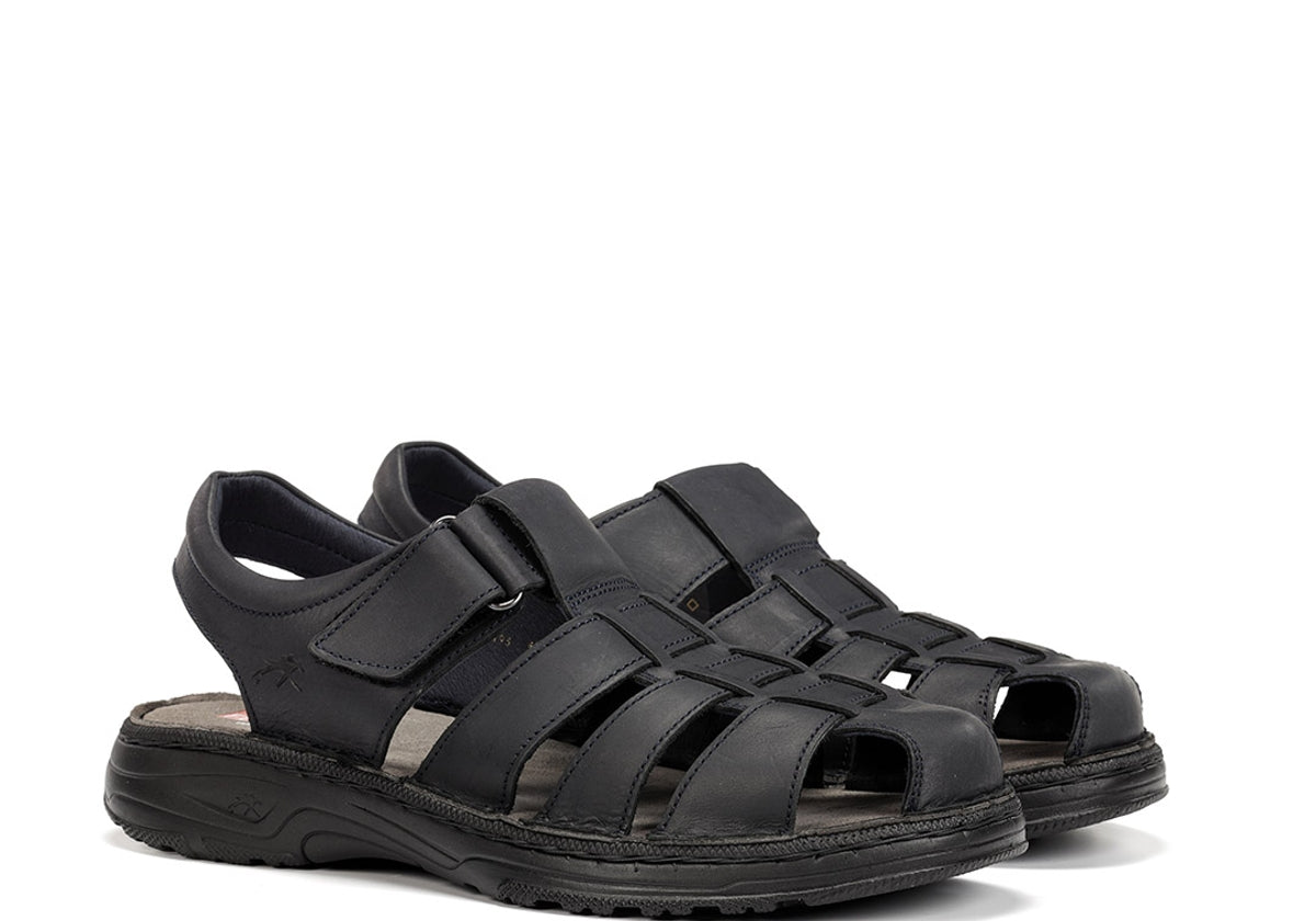F2198 GAUCHO MARINO-1