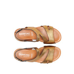 D9688-CS COSMOS BRONCE-4