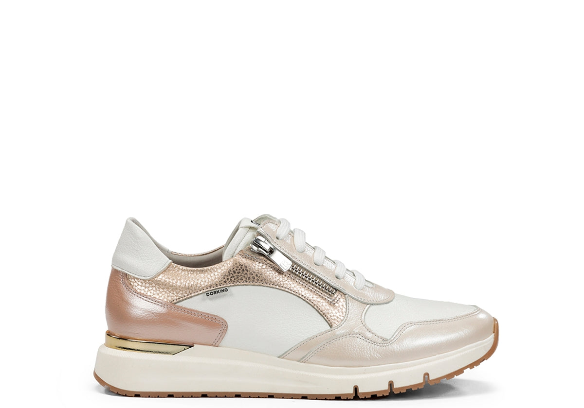 D9308NCSCO NACARADO BONE C1 BONE C-1-0