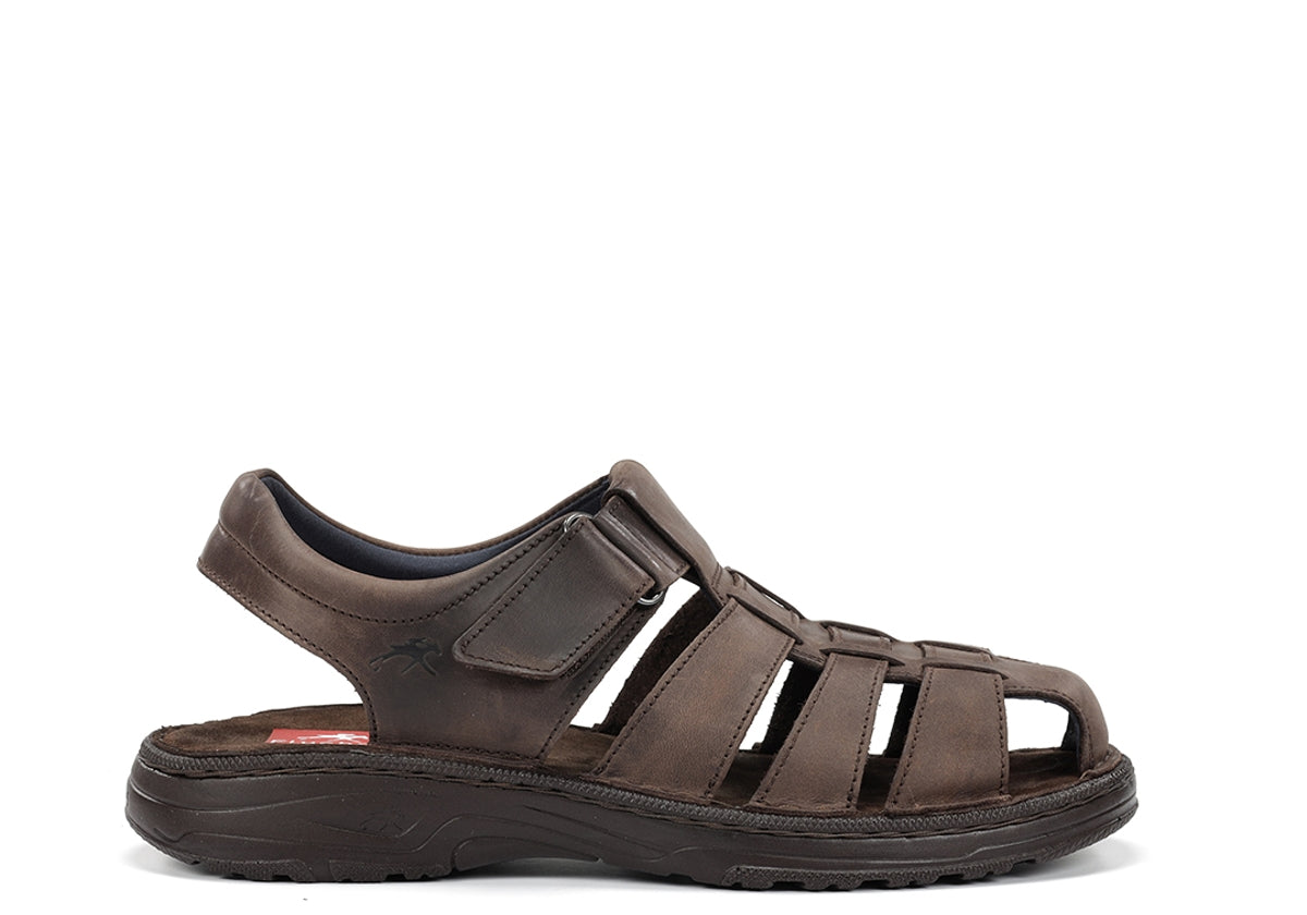 F2198 GAUCHO MARRON-0