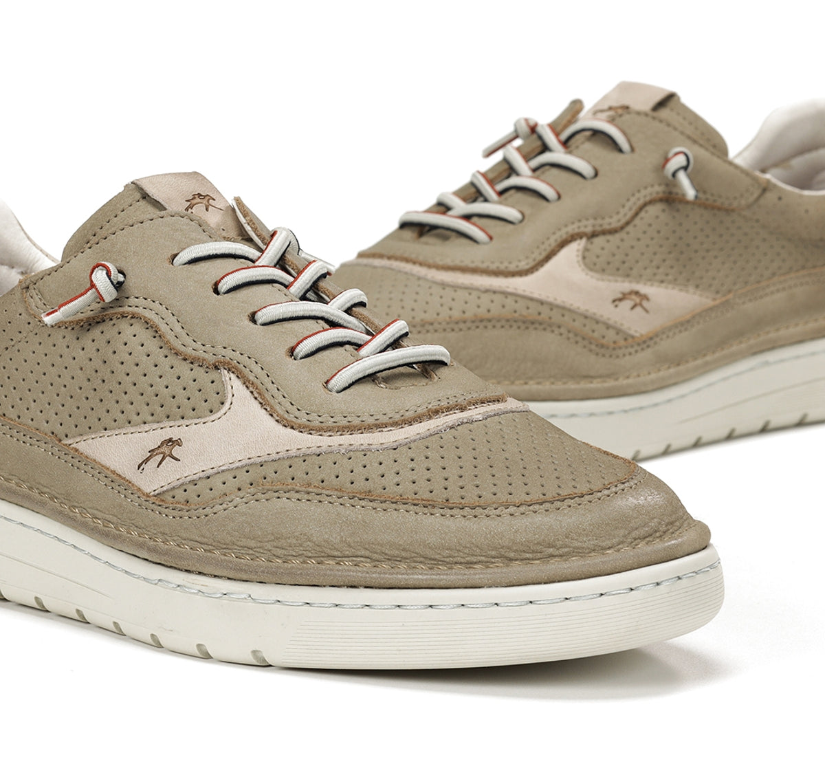 F1943 VEGABUCK TORTORA+COM.5-6