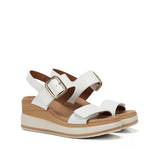 D9642-TX TEXAS BLANCO-1