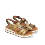 D9688-CS COSMOS BRONCE-3