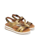D9688-CS COSMOS BRONCE-3