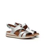D9688-CS COSMOS SILVER-1