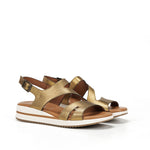 D9688-CS COSMOS BRONCE-1