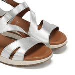 D9688-CS COSMOS SILVER-5