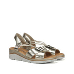 F2429 LAMINADO PLATINO-1