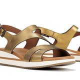 D9688-CS COSMOS BRONCE-6